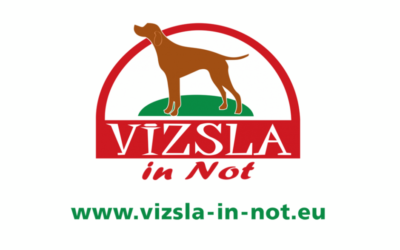 Vizsla in Not e.V.