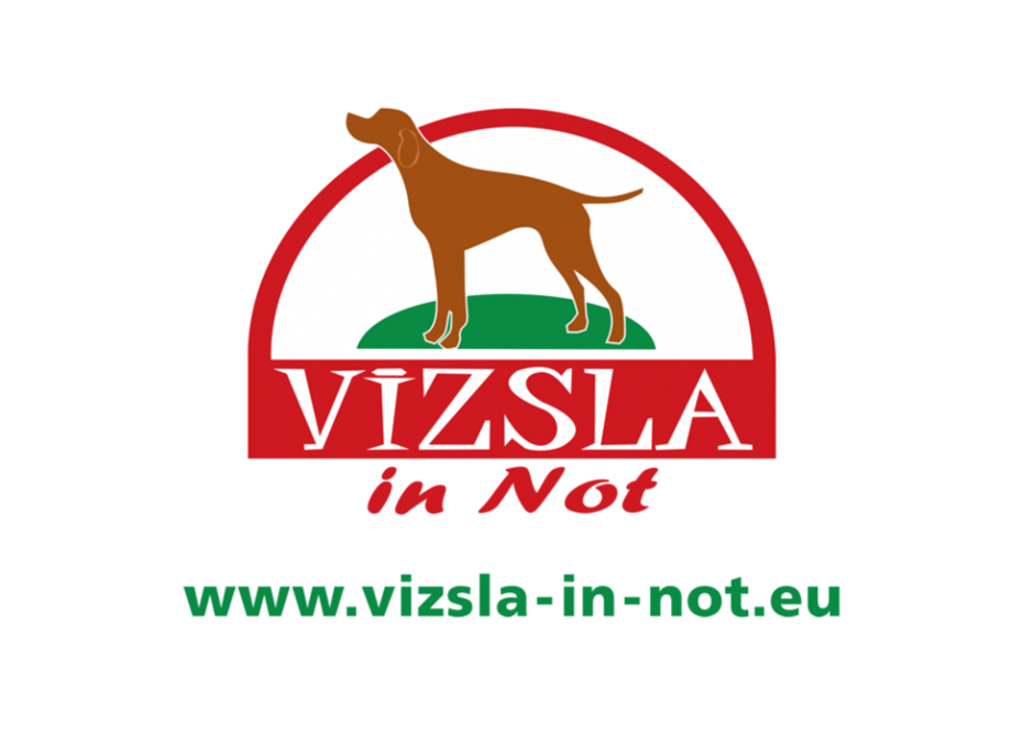 Vizsla in Not e.V.