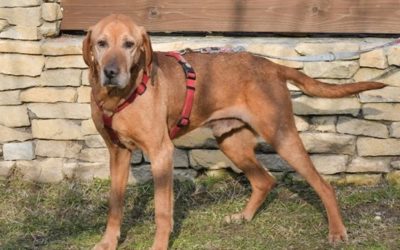 Belmont | UK, 11 Jahre