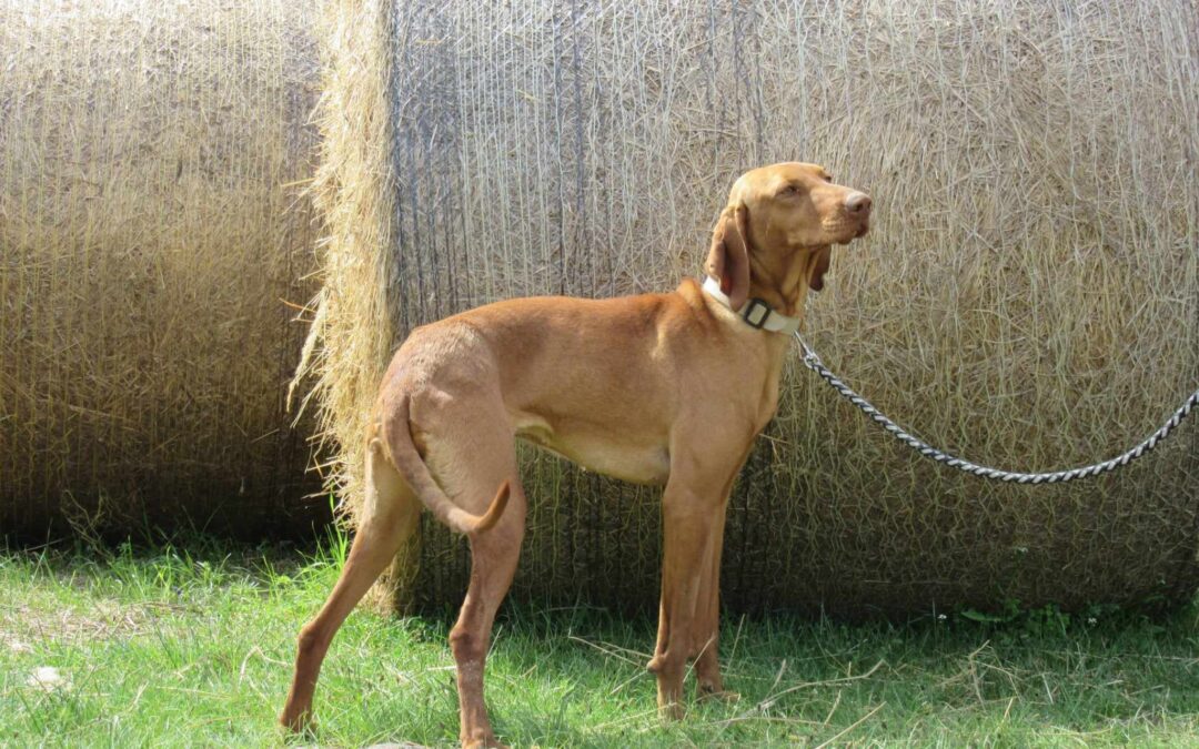Ilka | UK, 2 Jahre