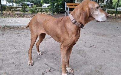 Mira | UK, 12 Jahre