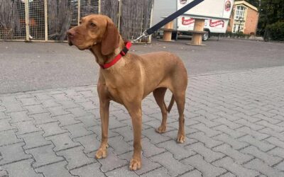 Fibi | UK, w, 08/2021