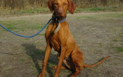 Pötty | UK, w, 09/2023